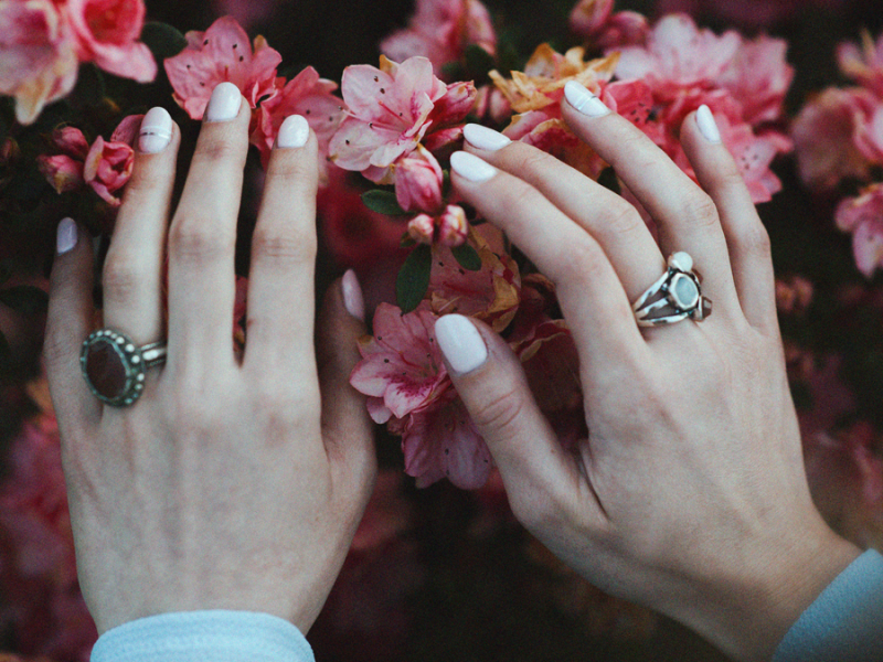 Le Cercle, la&nbsp;Promesse