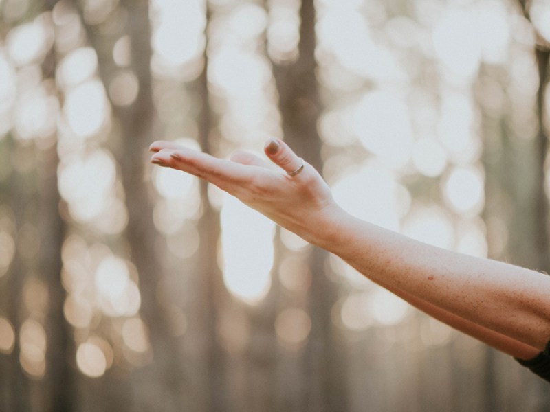 La Magie du quotidien au fil des&nbsp;saisons