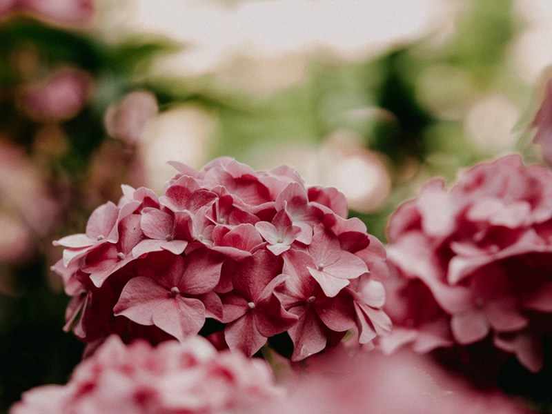 Le Cercle, Ressources à&nbsp;explorer