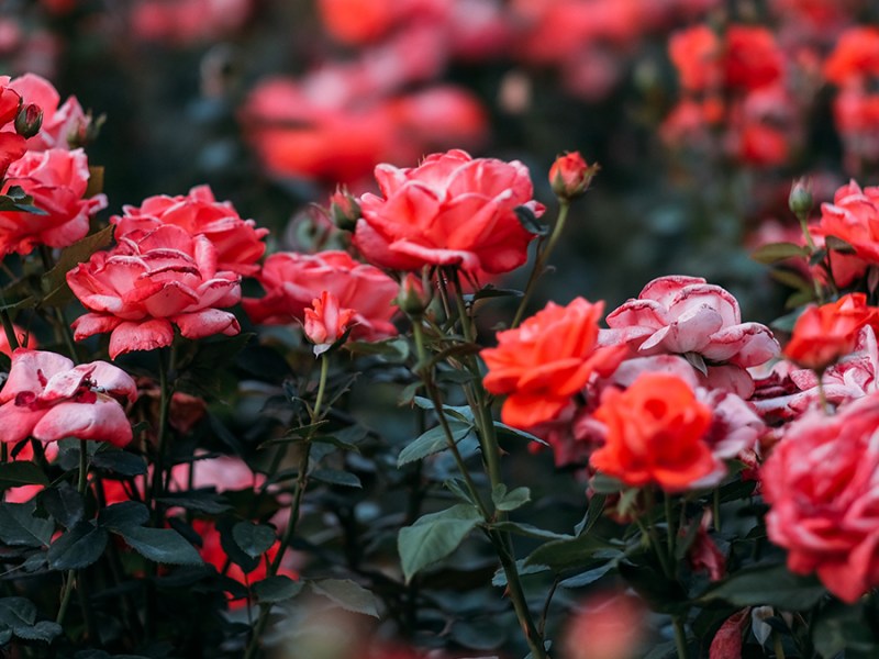 Le Cercle, l&rsquo;heure du&nbsp;bilan